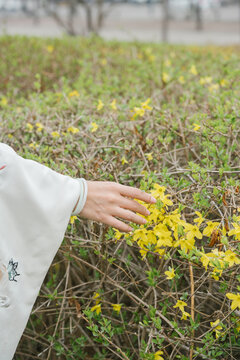 古风人物和鲜花