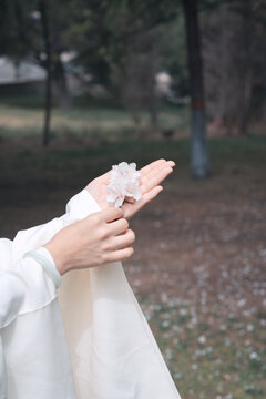 手拿杏花花朵