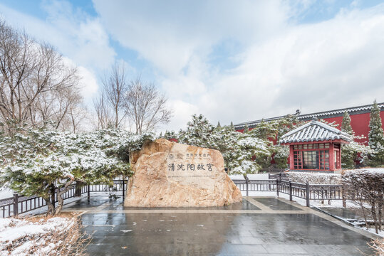 冬天雪后沈阳故宫的松树和红墙