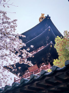 寒山寺