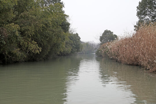 西溪湿地