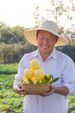 手里拿着黄元帅苹果