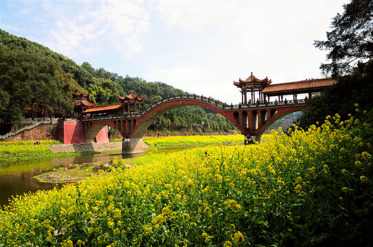 山区平坝古桥油菜花田