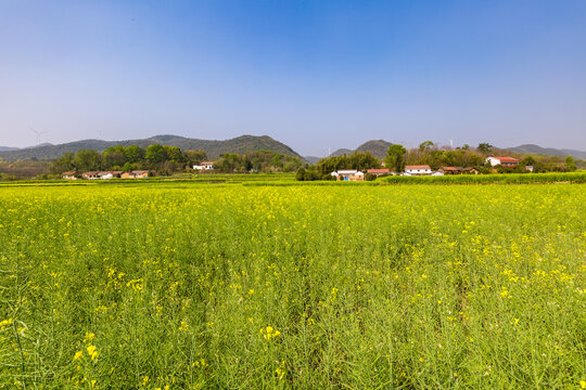 田园风光