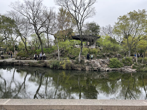 湖边风景垂柳