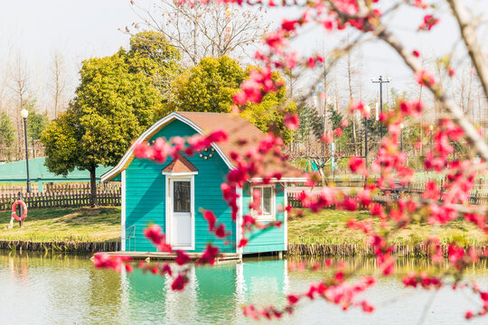 大丰郁金香花海景观