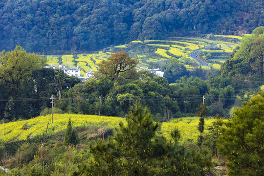 江岭梯田风景