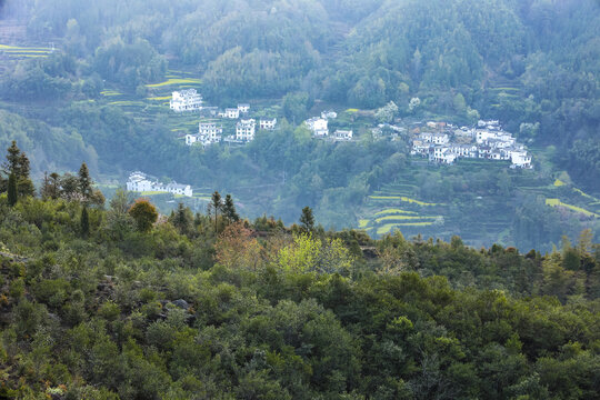 江岭梯田风光