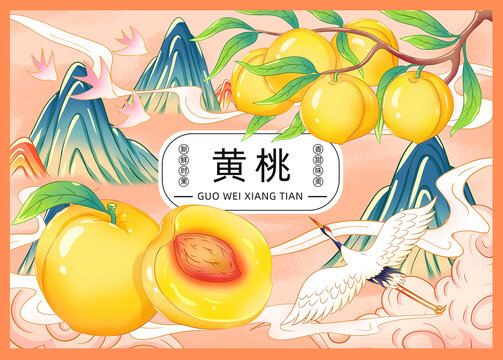 黃桃插畫手繪