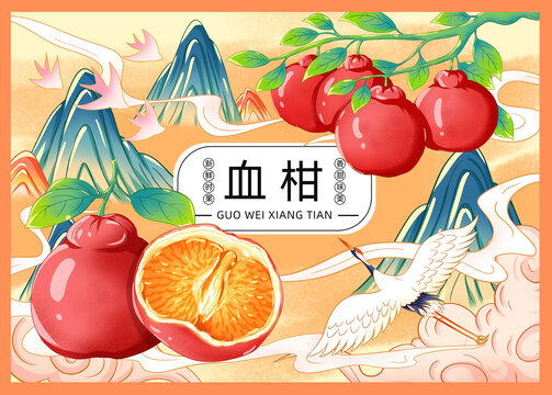 血柑插畫手繪