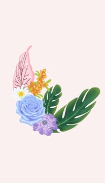 手繪植物小插畫