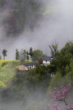 春山烟雨