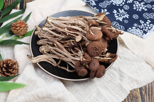 茶樹茹