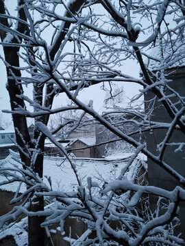 瑞雪兆丰年