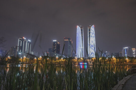 成都双子塔夜景