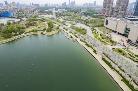 天津文化中心海棠花景观