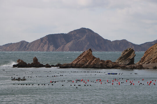 海岛和礁石岛礁海洋生态