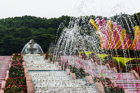 云台花园