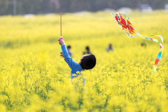 油菜花田里放风筝的小男孩