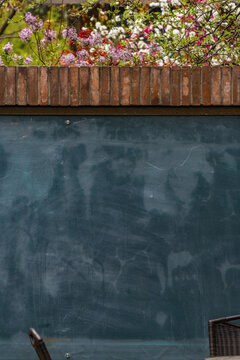 清华大学科学馆外黑板上的春花