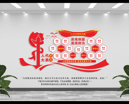 人大代表風(fēng)采