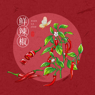鮮辣椒插畫