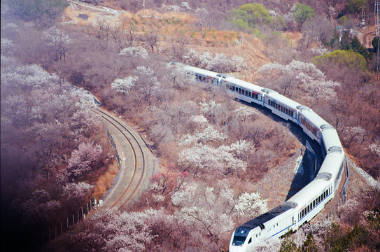 北京居庸关花海列车