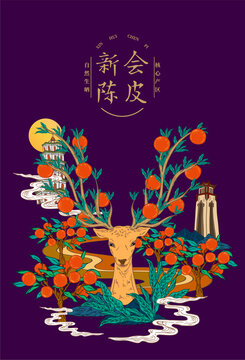 陳皮包裝