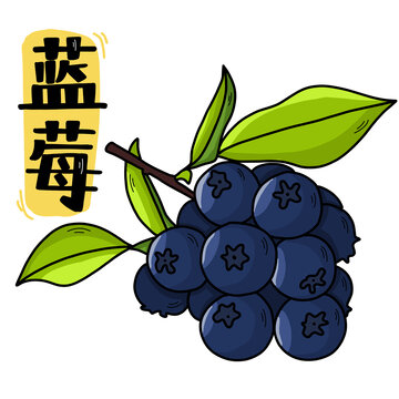 卡通藍莓