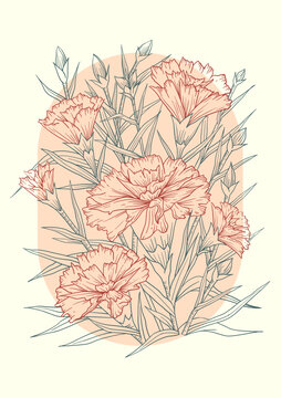 康乃馨花卉線(xiàn)描裝飾畫(huà)