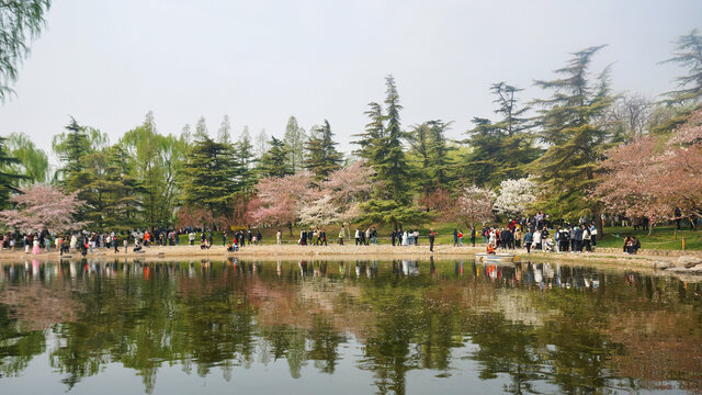 玉渊潭公园湖畔