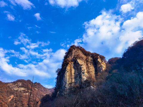 秦岭国家森林公园