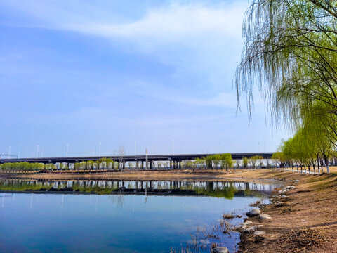 渭河湿地公园