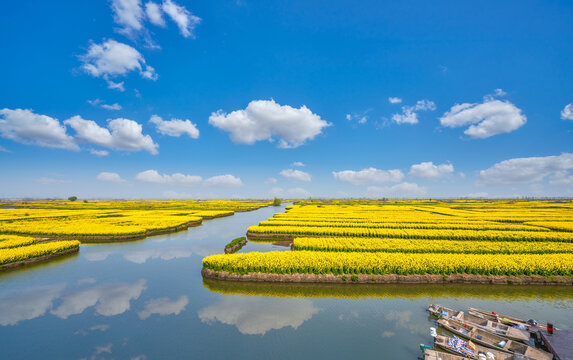 兴化千岛垛田