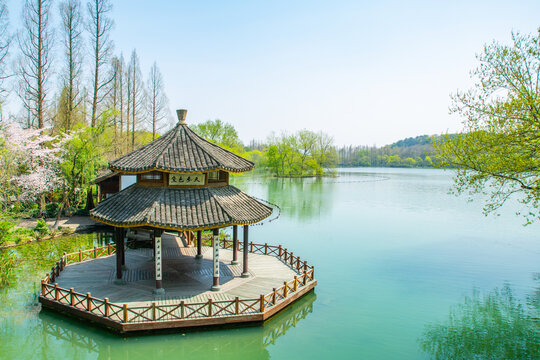 杭州西湖茅家埠春景