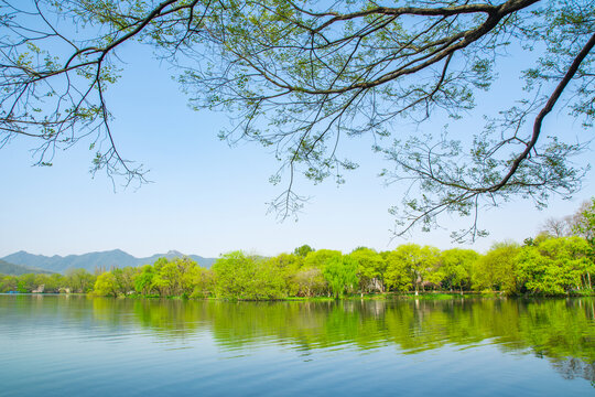 西湖春景