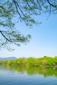 西湖春景