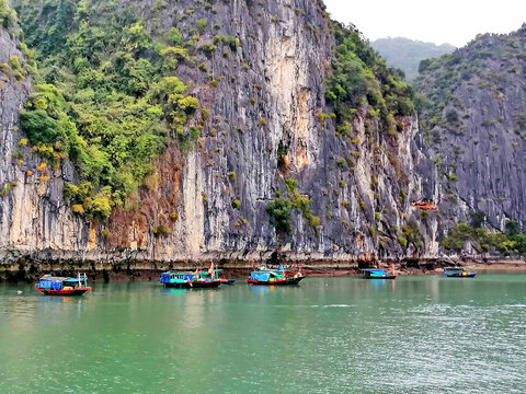 下龙湾水上人家