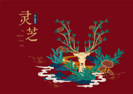 靈芝包裝
