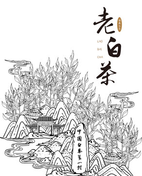 白茶插畫
