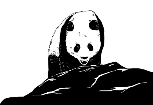 手繪大熊貓