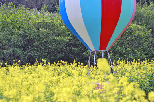 花与热气球