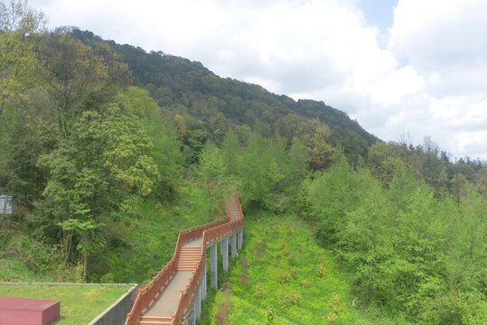 雅安蒙顶山天梯古道登山栈道