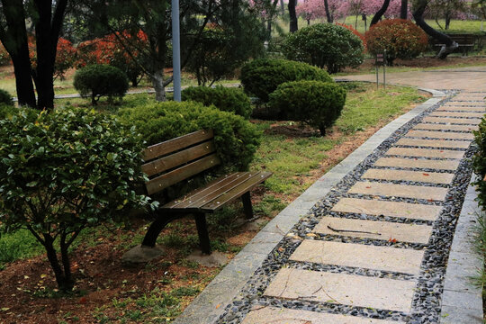 雨后公园的长椅