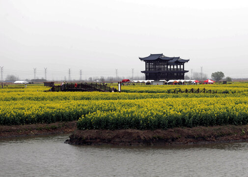 千岛菜花风景区