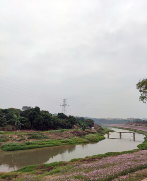 河边风景