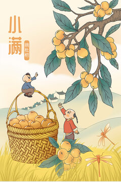 小孩摘枇杷小满节气插画海报