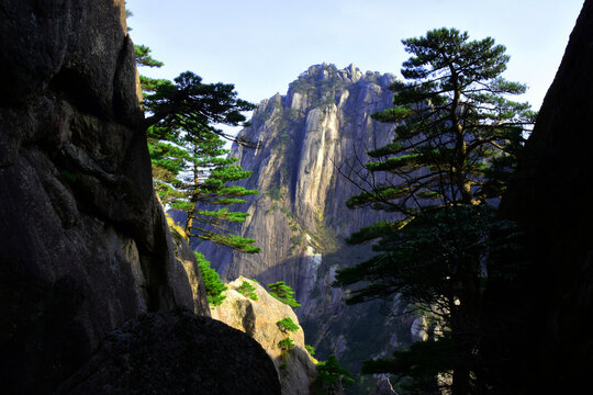 黄山风景