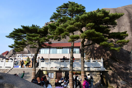 黄山迎客松景区