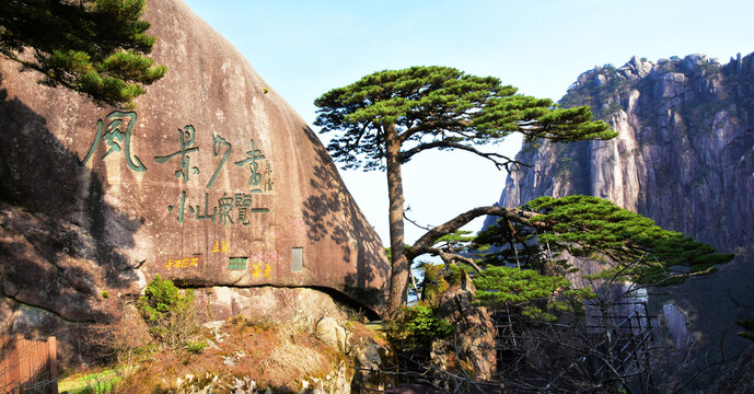 黄山迎客松全景